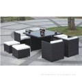 Outdoor/Wicker/Patio/Garden Rattan Furniture (FH2210)